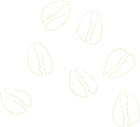drawing of cowrie shells